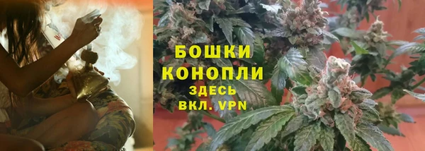 PSILOCYBIN Богородск